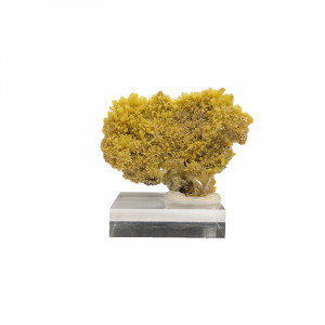 Mimetite - Mexique - Pièce unique - MIME40