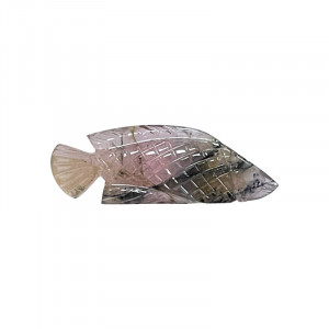 Poisson - Tourmaline - la pièce
