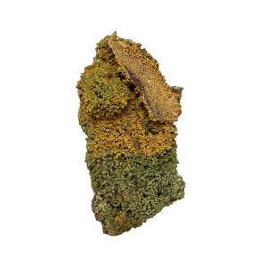 Pyromorphite - Chine - Pièce unique - PYROC15