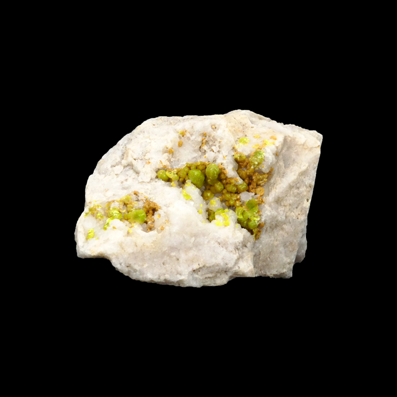 Pyromorphite - France - Pièce unique - PYROF160