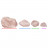 Quartz Rose brut en provenance de Madagascar - Le kg