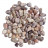 Agate Botswana pierres roulées 500 grs