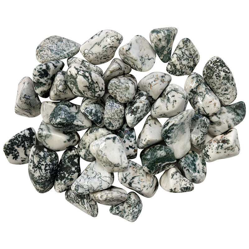 Agate dendritique Botswana pierres roulées 1KG