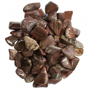 Bois fossile de Madagascar pierres roulées 1KG