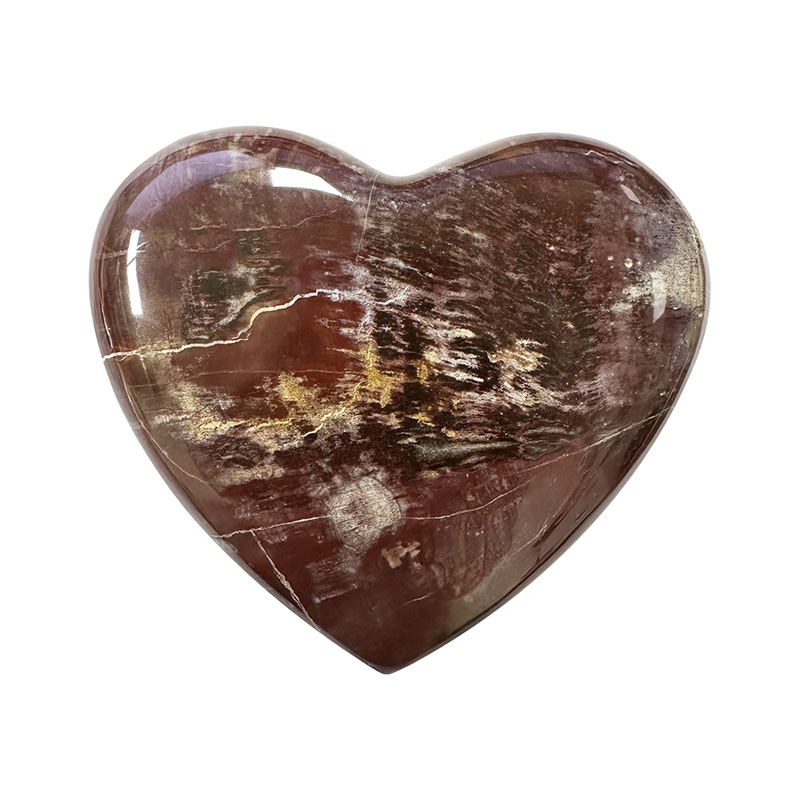 Cœur en bois fossile