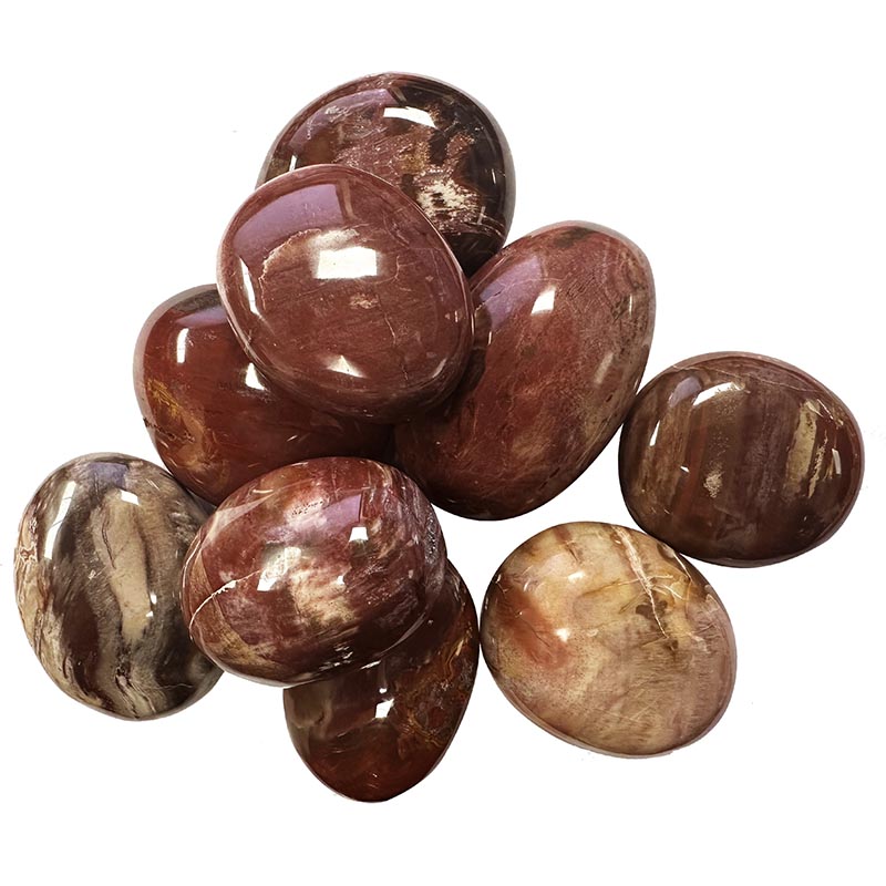 Galets bois fossile, sachet d'1 kg