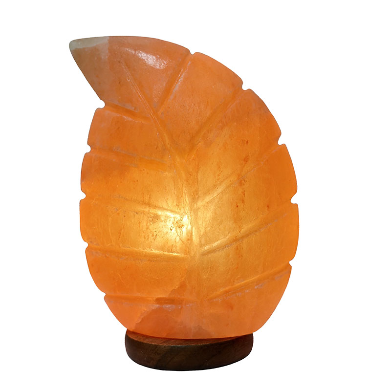 Lampe en sel Feuille