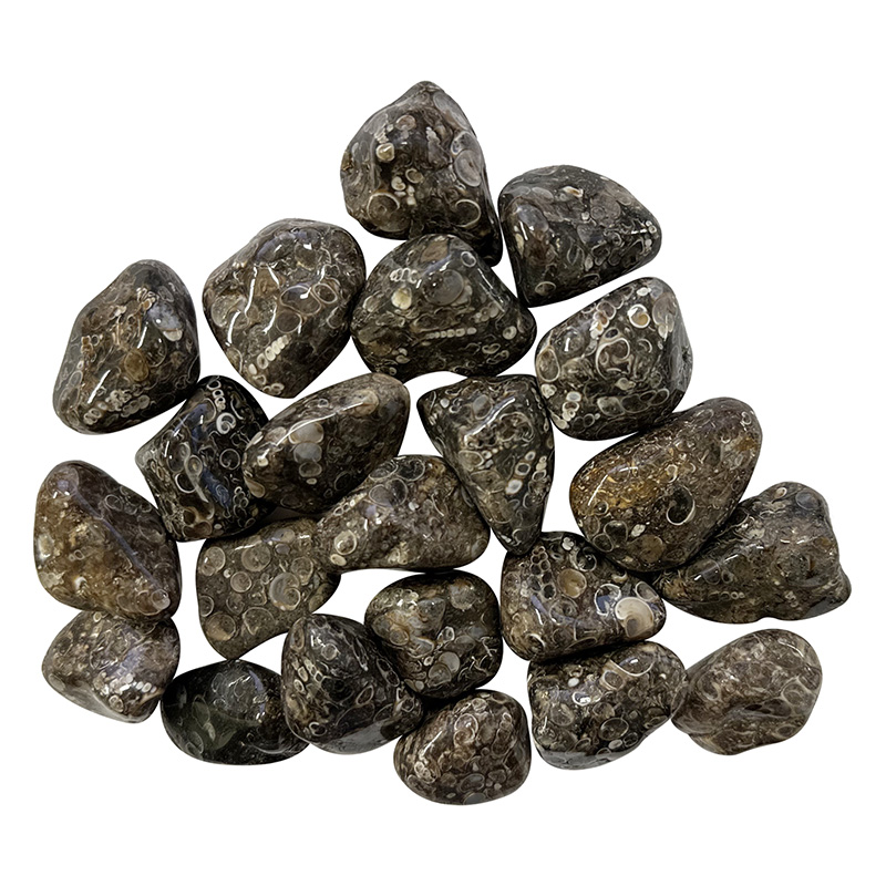 Agate avec turitelles USA pierres roulées Les 500 grs
