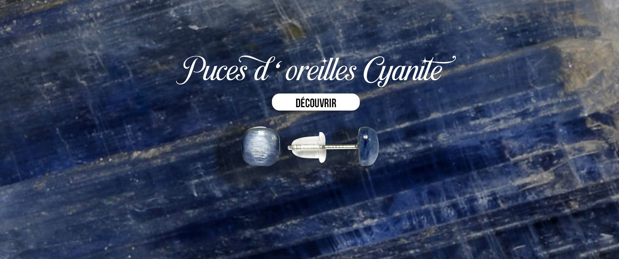 Puces oreilles Cyanite