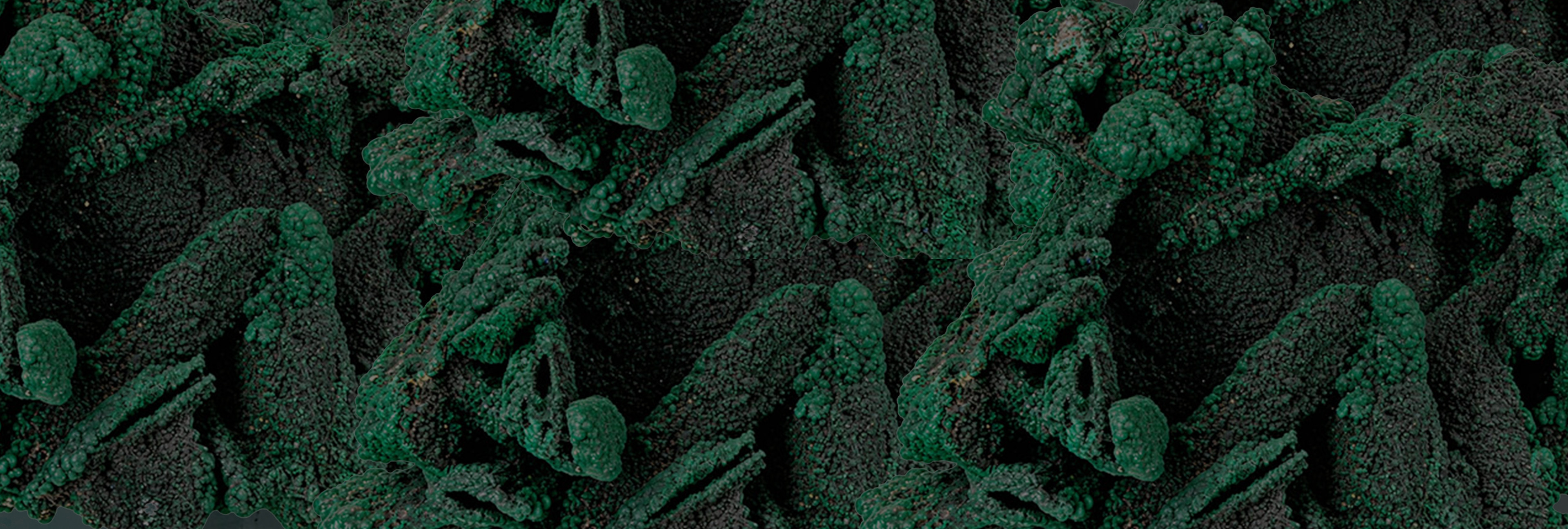 Malachite Pseudomorphose après baryte