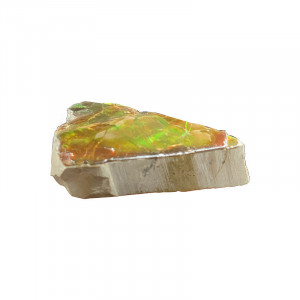 Ammolite - Canada - A la pièce
