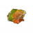 Ammolite - Canada - A la pièce