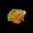 Ammolite - Canada - A la pièce