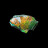 Ammolite - Canada - A la pièce