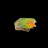 Ammolite - Canada - A la pièce