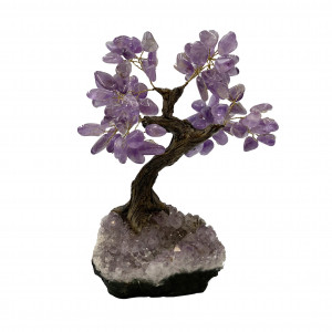 Bonsai pierres Améthyste Brésil 23/25 cm