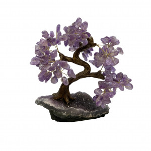 Bonsai pierres Améthyste Brésil 23/25 cm