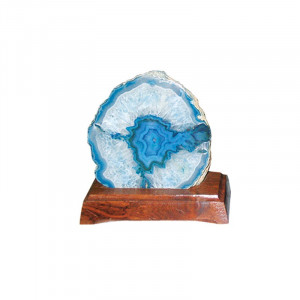 Talon d'agate teintée Base Sciee sur Socle Bois Grand Modèle