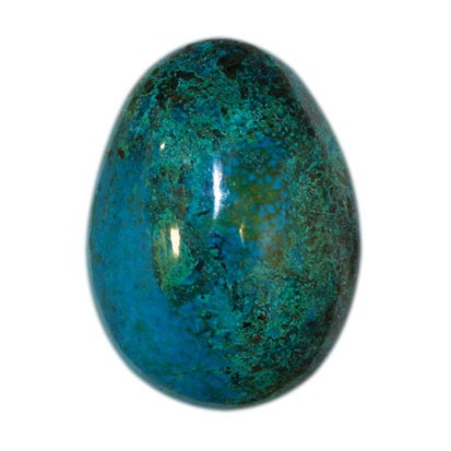 Oeuf chrysocolle
