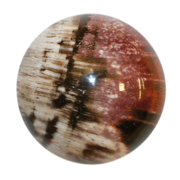 Sphère bois fossile - Madagascar - La pièce