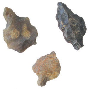 Pointes de Flèches en Silex les 10 pces