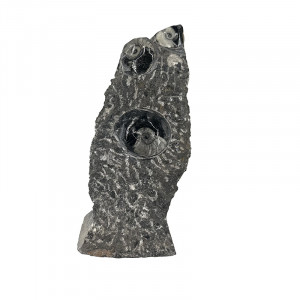 Statuette Goniatite - Pièce unique - 202510_86