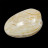 Bivalve clam fossile « Mercenaria » poli - Madagascar - la pièce