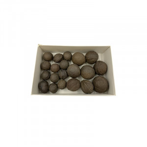 Moqui marble le carton 21x13x5cm