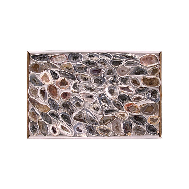 Géodinos Extra extra en Paires le carton 22X33cm