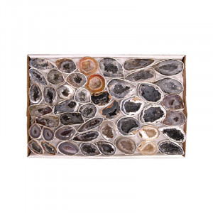 Géodinhos Extra extra en Single le carton 22x33cm