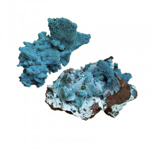 Pseudomorphose d'azurite en chrysocolle - Congo -  A la pièce