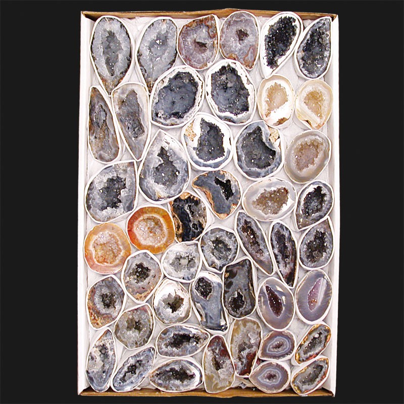 Géodinos Extra extra en Paires le carton 22X33cm