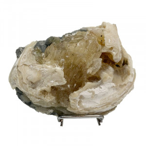 Fossile Clams sur Calcite - Pièce unique - 201912_13
