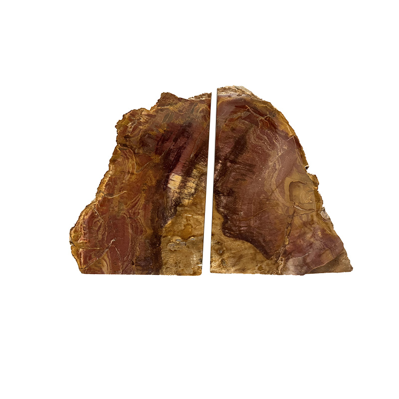 Serre livre bois fossile - Pièce unique - 202511_140