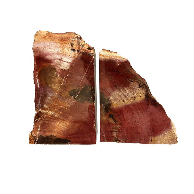 Serre livre bois fossile - Pièce unique - 202511_146