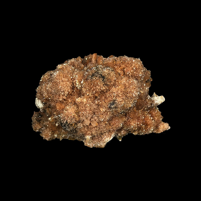 Creedite - Pièce unique - 202512_125