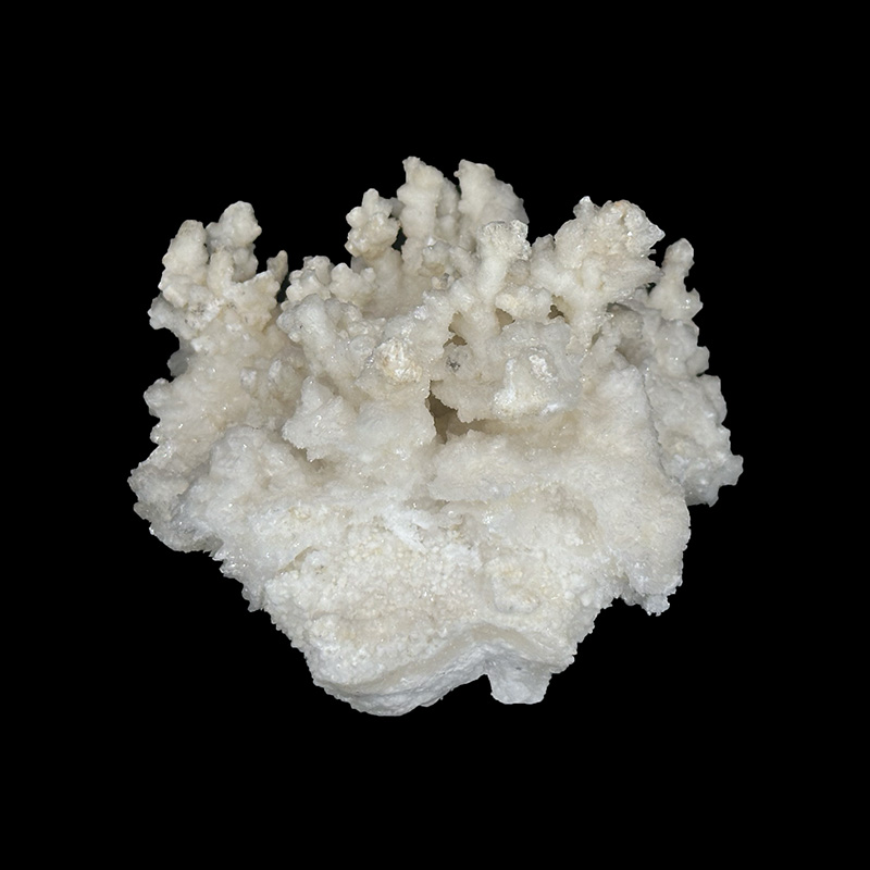 Aragonite blanche - Pièce unique - 202512_147
