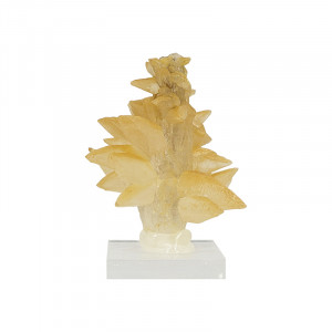 Calcite - Pièce unique - 202601_59