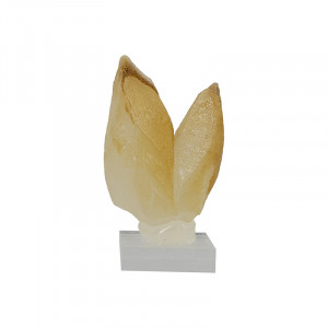 Calcite - Pièce unique - 202601_60