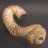 Ammonite déroulée Nostoceras - Madagascar - Pièce unique - 20160301_01