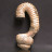 Ammonite déroulée Nostoceras - Madagascar - Pièce unique - 20160301_01