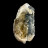 Fossile Clams sur Calcite