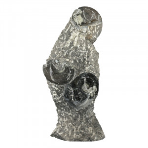 Statuette Goniatite - Pièce unique - 202507_28
