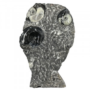 Statuette Goniatite - Pièce unique - 202507_30