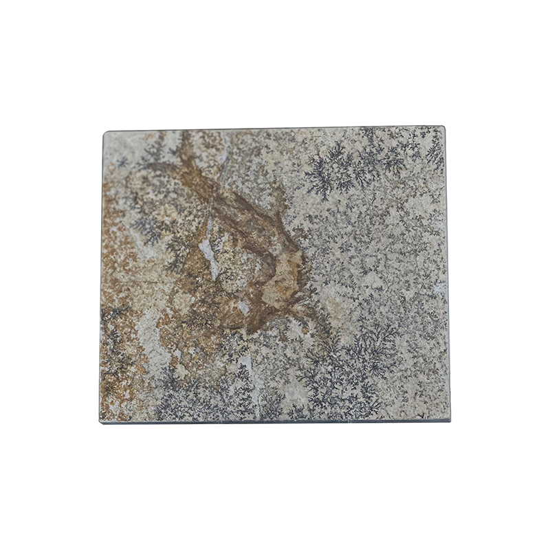 Poisson fossile - Pièce unique - 202507_46