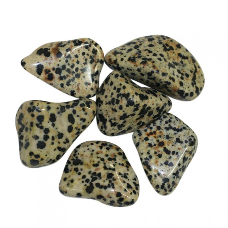 Jaspe Dalmatien du Mexique pierres roulées 1 KG