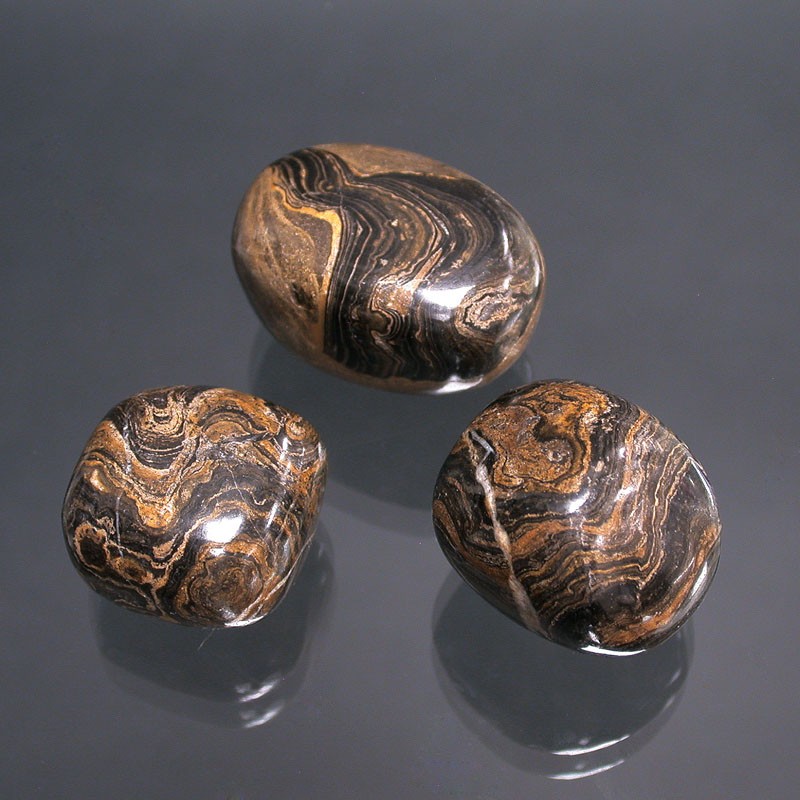 Stromatolite du Pérou pierres roulées les 500g