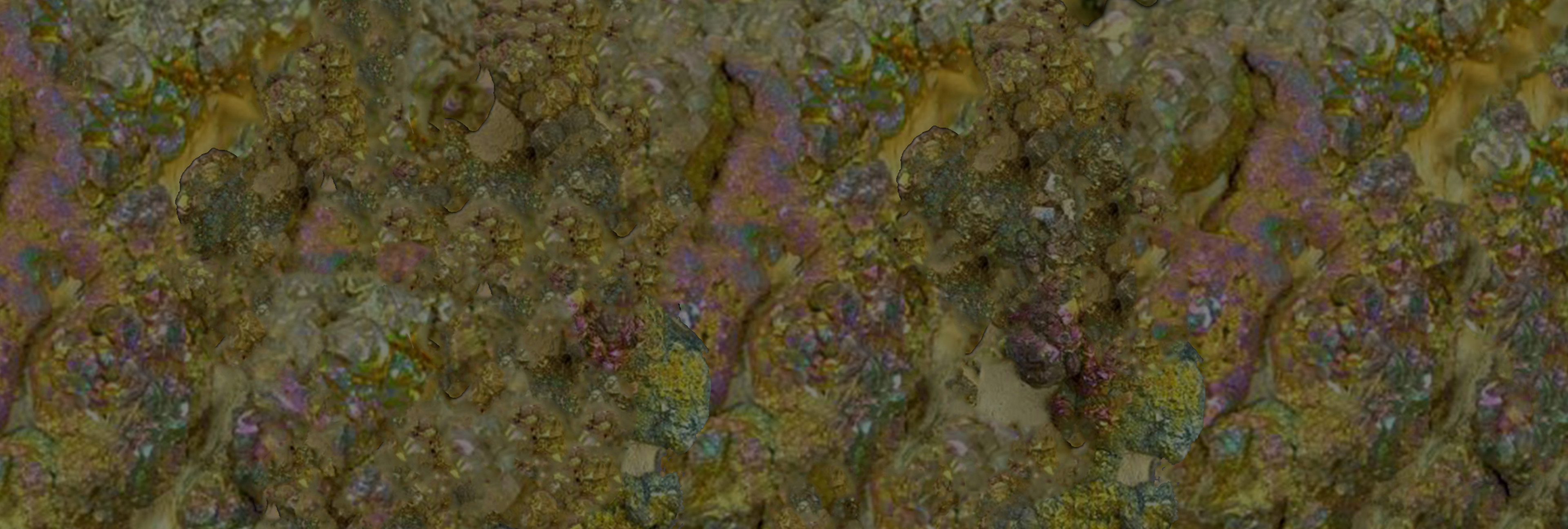 Rainbow Pyrite sur Limonite 